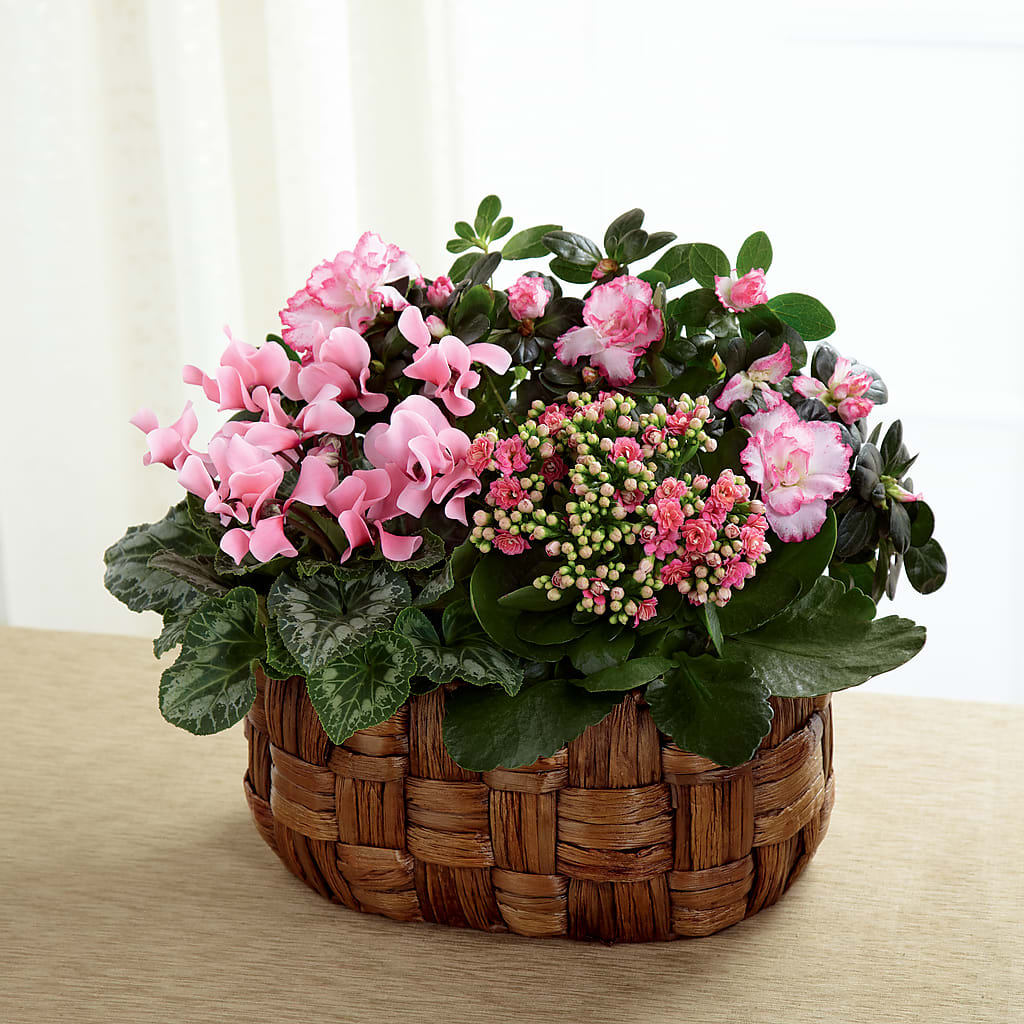 Pink Assortment – PAULA KELLEY'S FLORIST, Paris TN