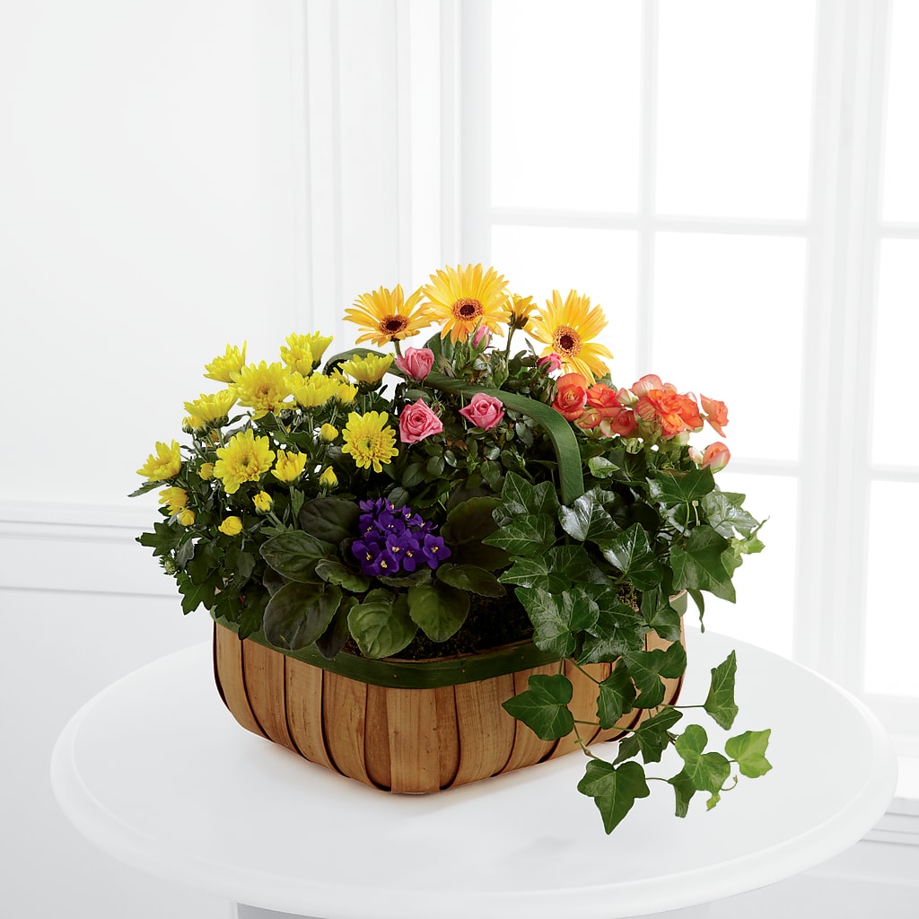 Gentle Blossoms Basket – PAULA KELLEY'S FLORIST, Paris TN