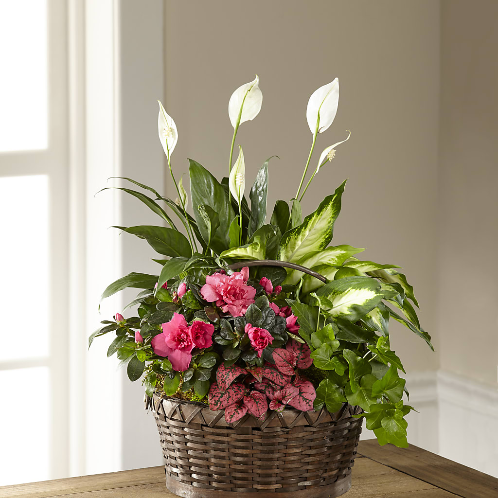 Dream in Pink Dishgarden – PAULA KELLEY'S FLORIST, Paris TN