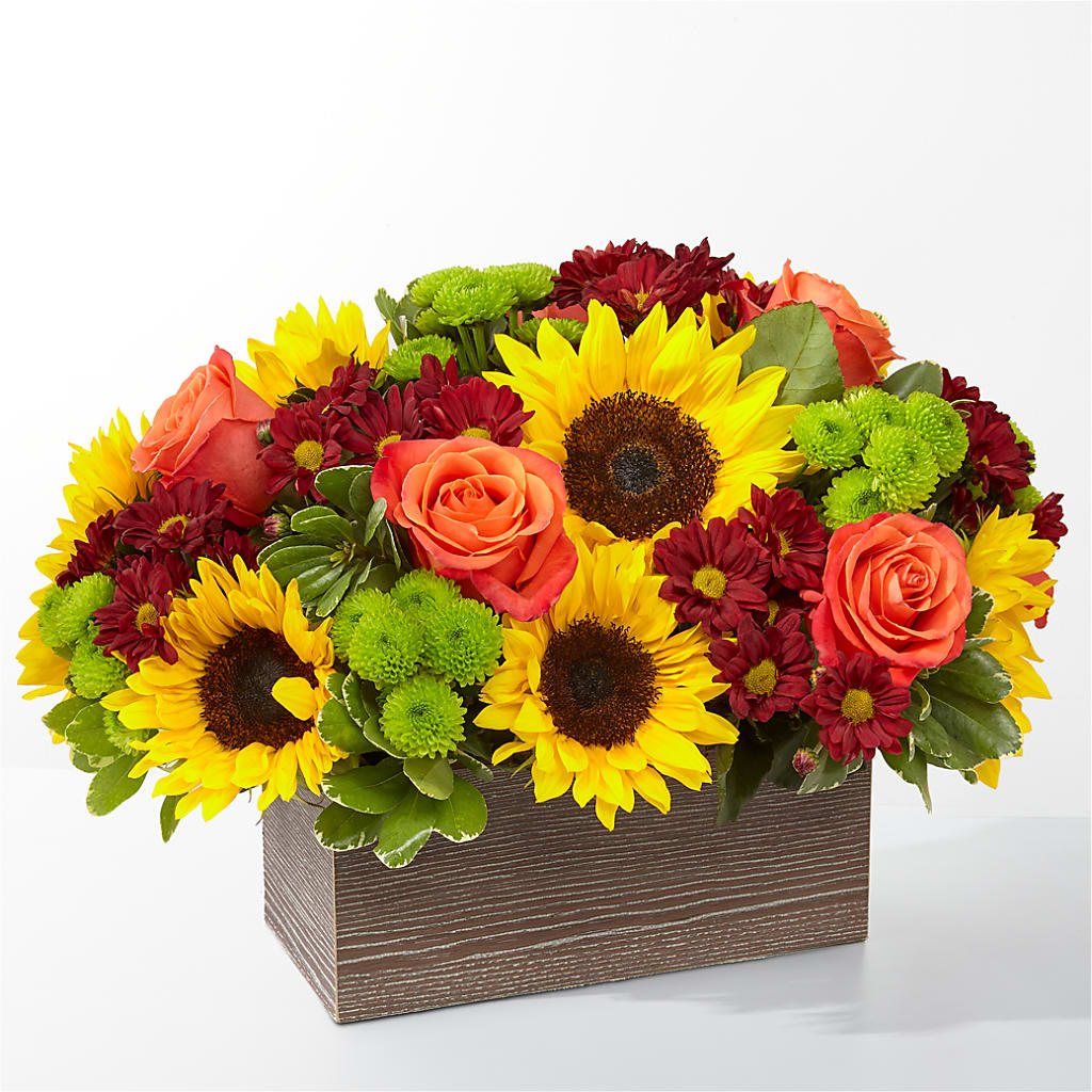 Happy Harvest Garden – PAULA KELLEY'S FLORIST, Paris TN
