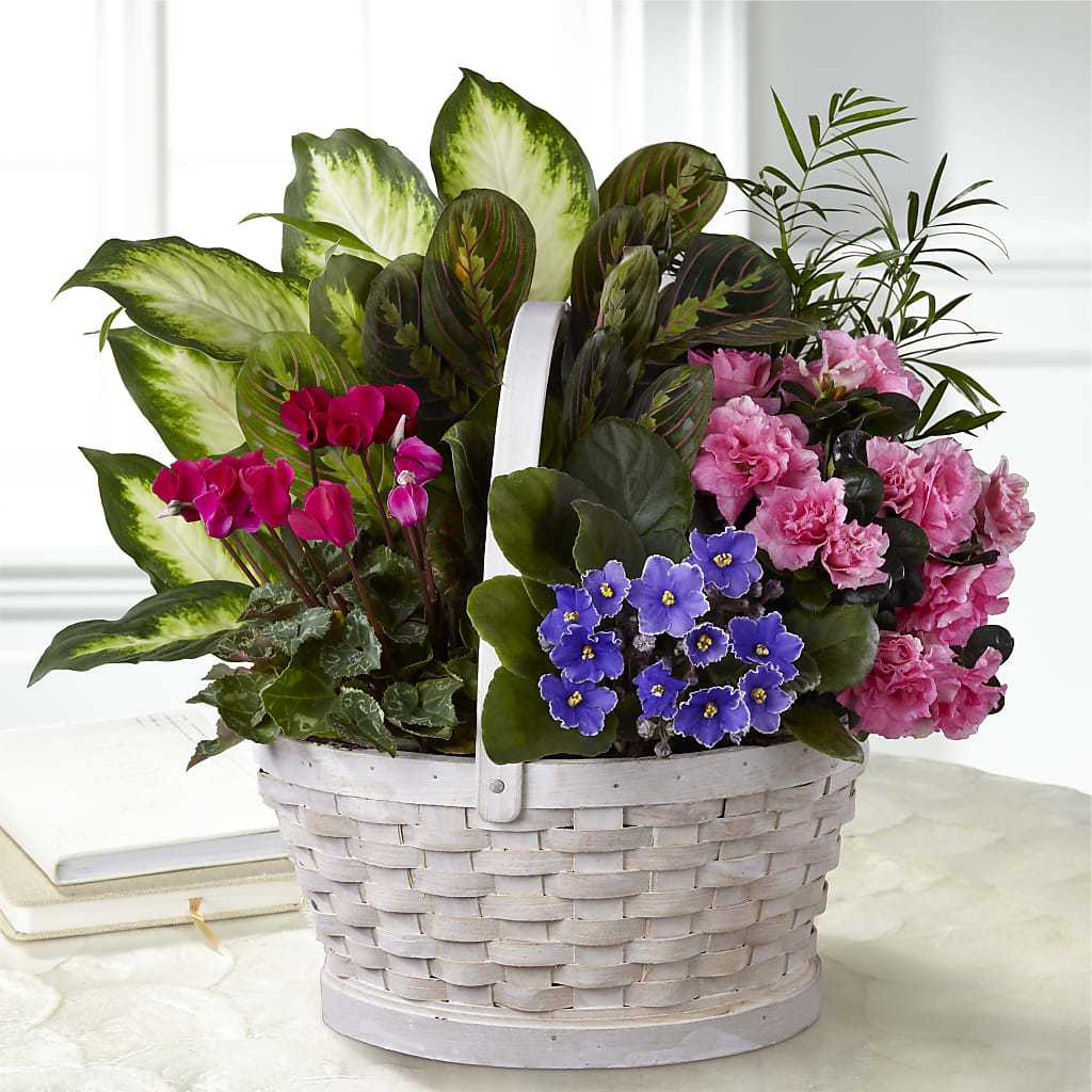 Peaceful Garden Planter – PAULA KELLEY'S FLORIST, Paris TN
