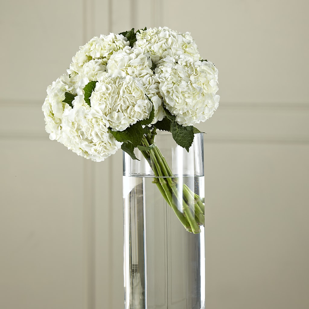 White Hydrangea Hand-Tied Bouquet – PAULA KELLEY'S FLORIST, Paris TN