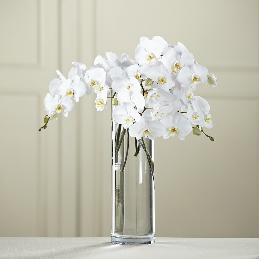 White Phalaenopsis Bouquet – PAULA KELLEY'S FLORIST, Paris TN