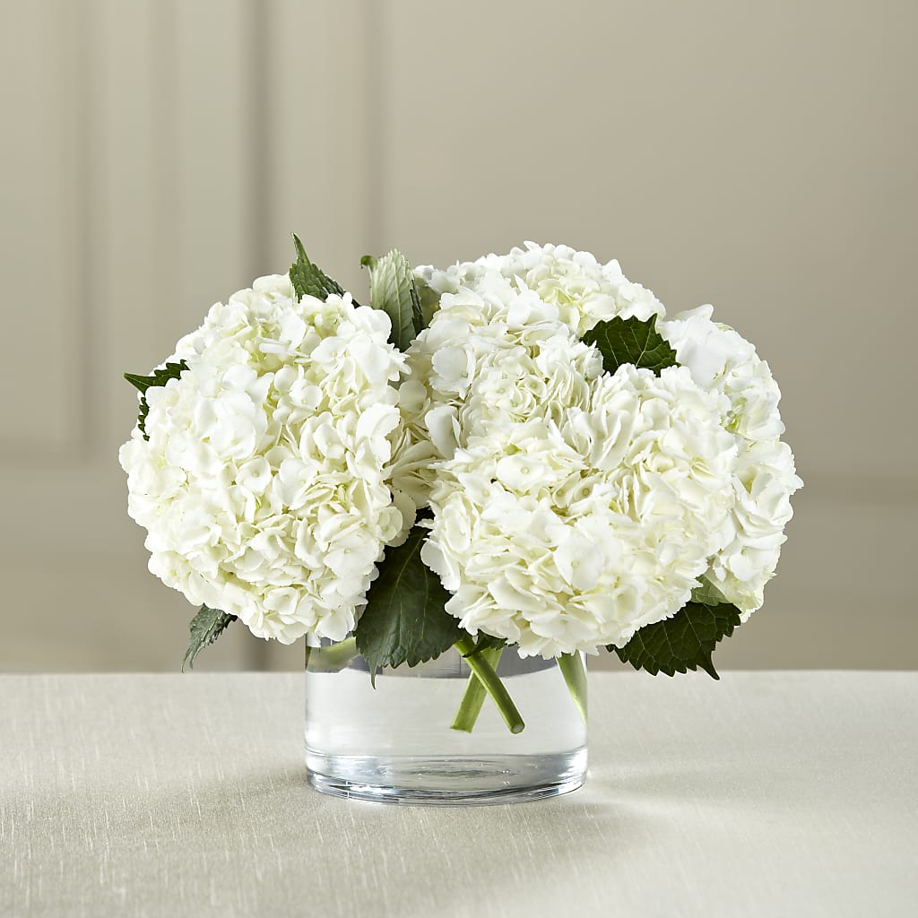 White Hydrangea Bouquet – PAULA KELLEY'S FLORIST, Paris TN