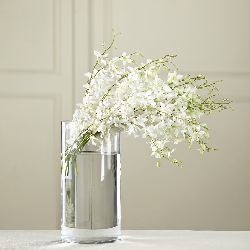 White Dendrobium Bouquet – PAULA KELLEY'S FLORIST, Paris TN