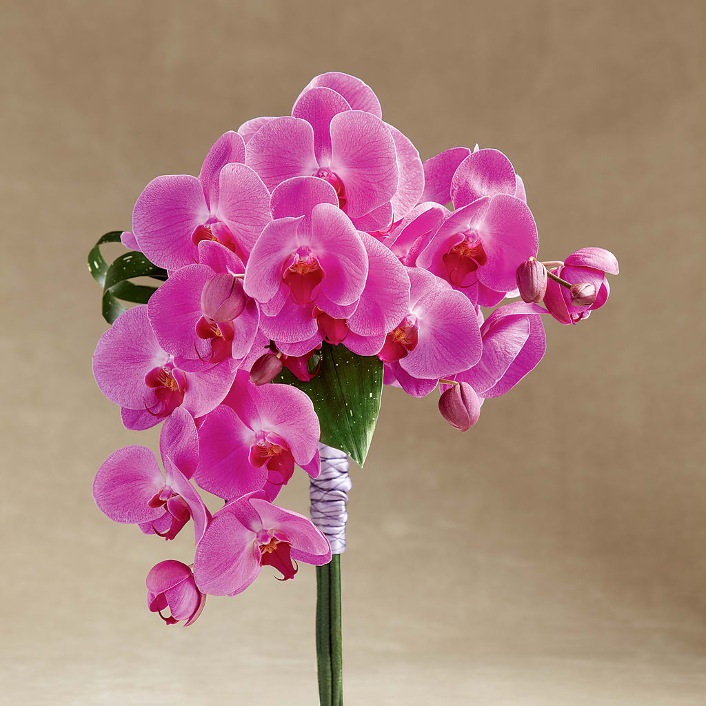 Glorious Bouquet – PAULA KELLEY'S FLORIST, Paris TN
