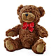 Adorable Plush Bear – PAULA KELLEY'S FLORIST, Paris TN