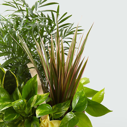 French Garden – PAULA KELLEY'S FLORIST, Paris TN