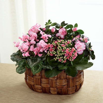 Pink Assortment – PAULA KELLEY'S FLORIST, Paris TN