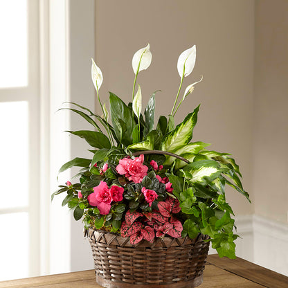 Dream in Pink Dishgarden – PAULA KELLEY'S FLORIST, Paris TN