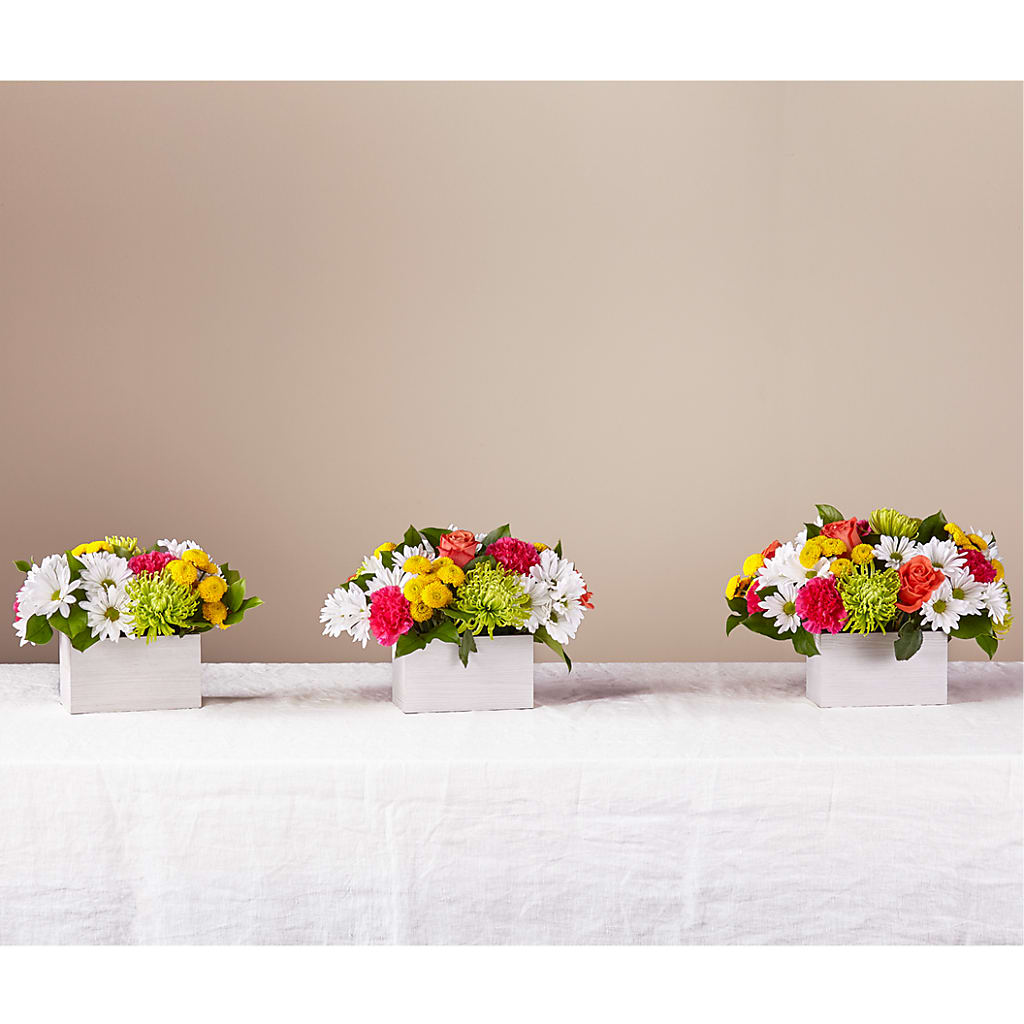 Sorbet Bouquet – PAULA KELLEY'S FLORIST, Paris TN