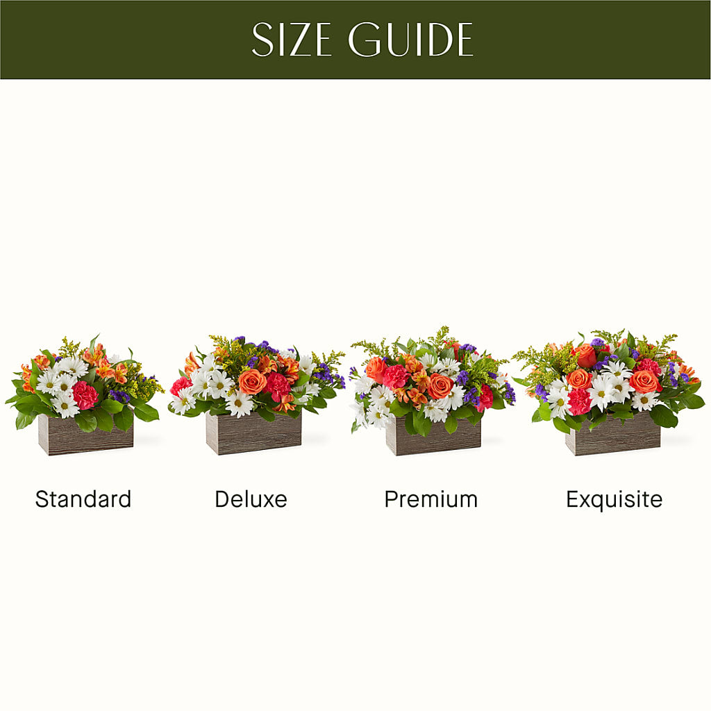 Oopsie Daisy Box Bouquet – PAULA KELLEY'S FLORIST, Paris TN