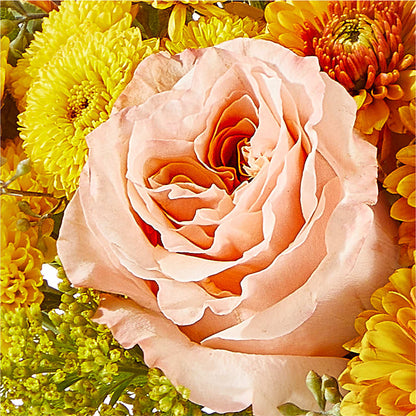 Peachy Pumpkin – PAULA KELLEY'S FLORIST, Paris TN
