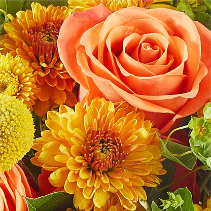 Gourdgeous Pumpkin – PAULA KELLEY'S FLORIST, Paris TN