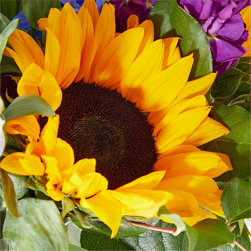 Catching Rays Bouquet – PAULA KELLEY'S FLORIST, Paris TN