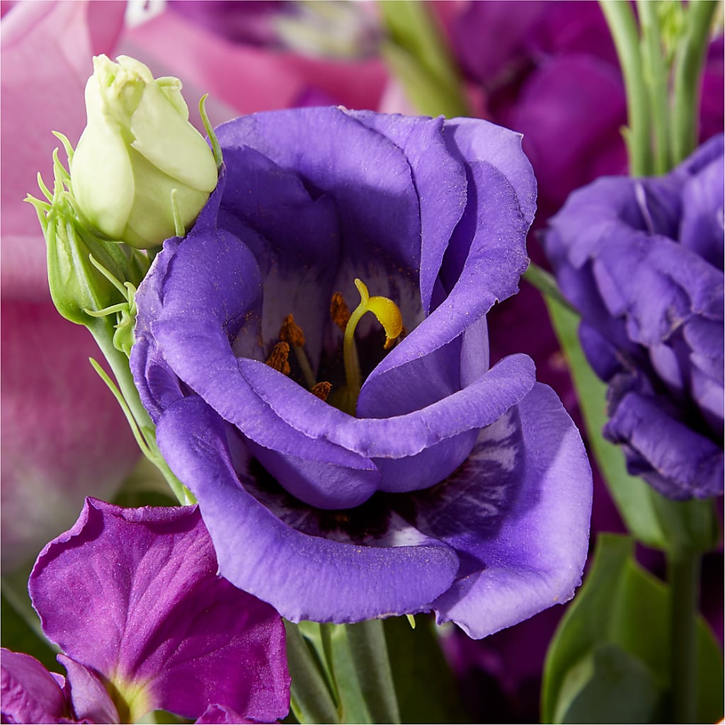 Twilight Glow Bouquet – PAULA KELLEY'S FLORIST, Paris TN