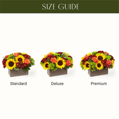 Happy Harvest Garden – PAULA KELLEY'S FLORIST, Paris TN