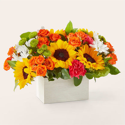 Sun-drenched Blooms Box Bouquet – PAULA KELLEY'S FLORIST, Paris TN