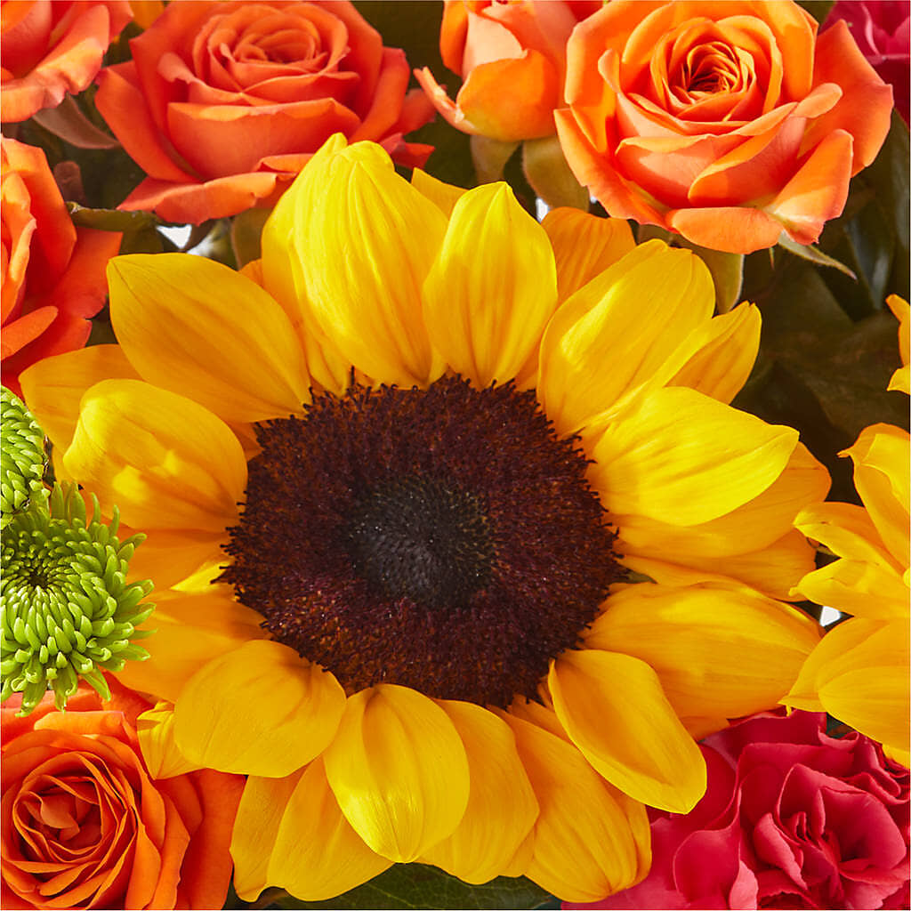 Sun-drenched Blooms Box Bouquet – PAULA KELLEY'S FLORIST, Paris TN