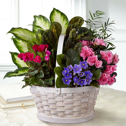 Peaceful Garden Planter – PAULA KELLEY'S FLORIST, Paris TN