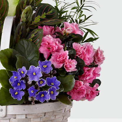 Peaceful Garden Planter – PAULA KELLEY'S FLORIST, Paris TN