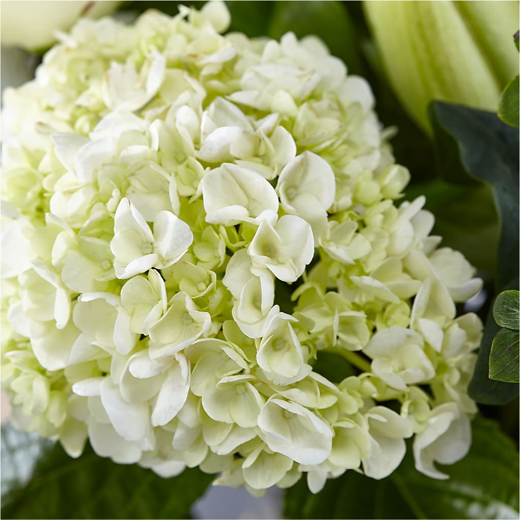 Classic Ivory – A Florist Original – PAULA KELLEY'S FLORIST, Paris TN