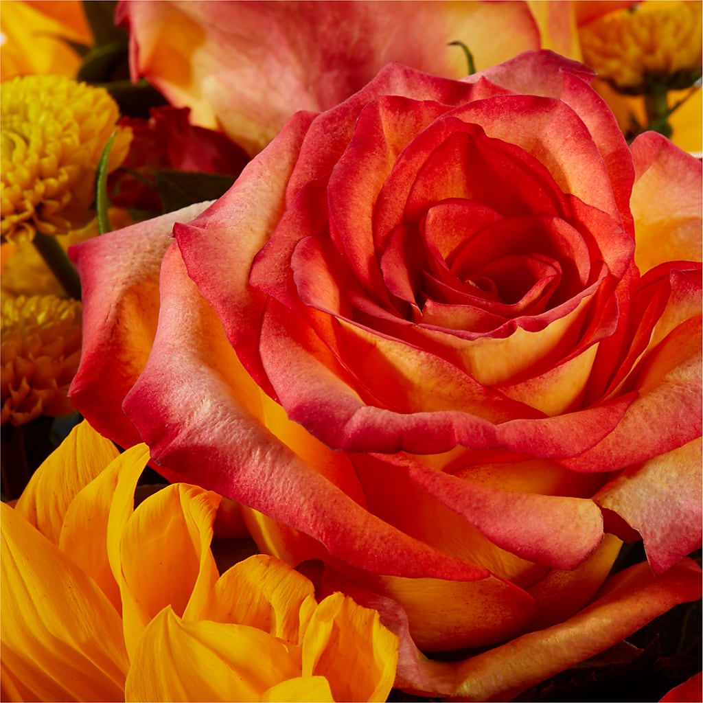Picnic in the Park Bouquet – PAULA KELLEY'S FLORIST, Paris TN