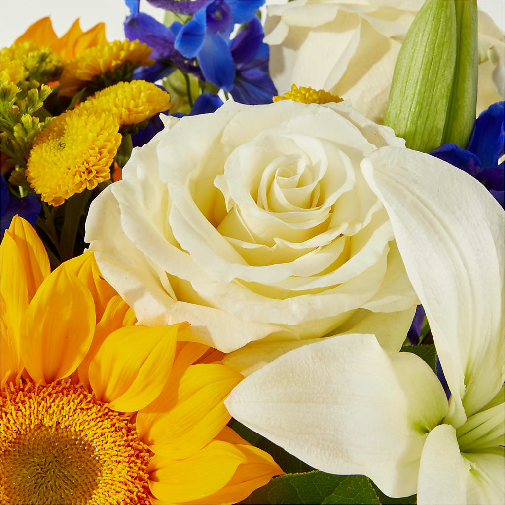 Stargazing Bouquet – PAULA KELLEY'S FLORIST, Paris TN