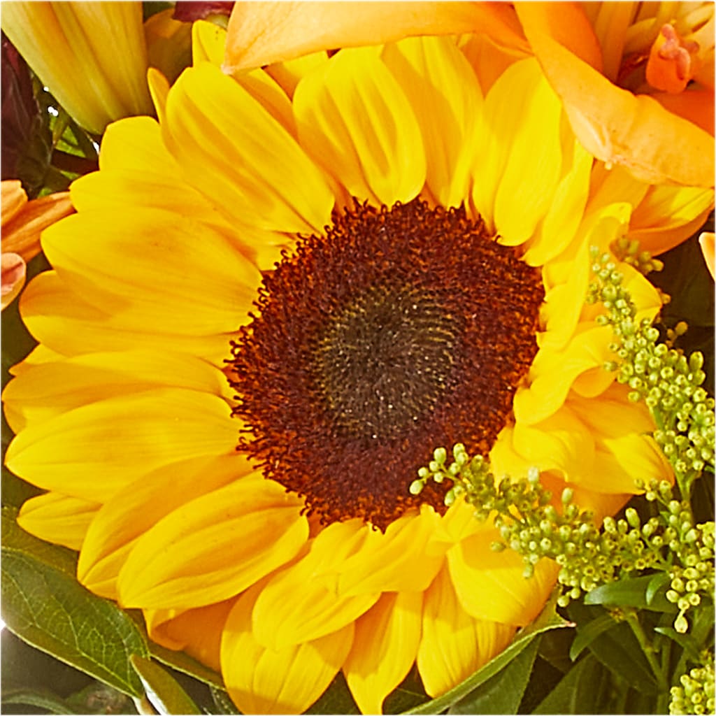 Seasons Change Bouquet – PAULA KELLEY'S FLORIST, Paris TN