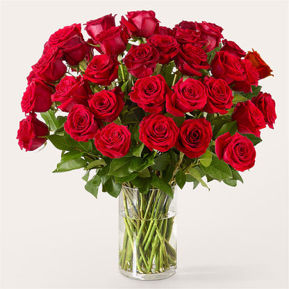 The One Red Rose Bouquet – PAULA KELLEY'S FLORIST, Paris TN