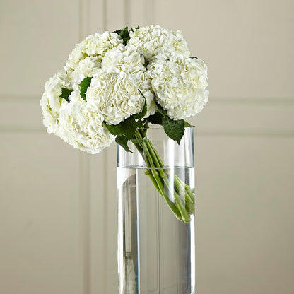 White Hydrangea Hand-Tied Bouquet – PAULA KELLEY'S FLORIST, Paris TN