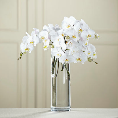 White Phalaenopsis Bouquet – PAULA KELLEY'S FLORIST, Paris TN